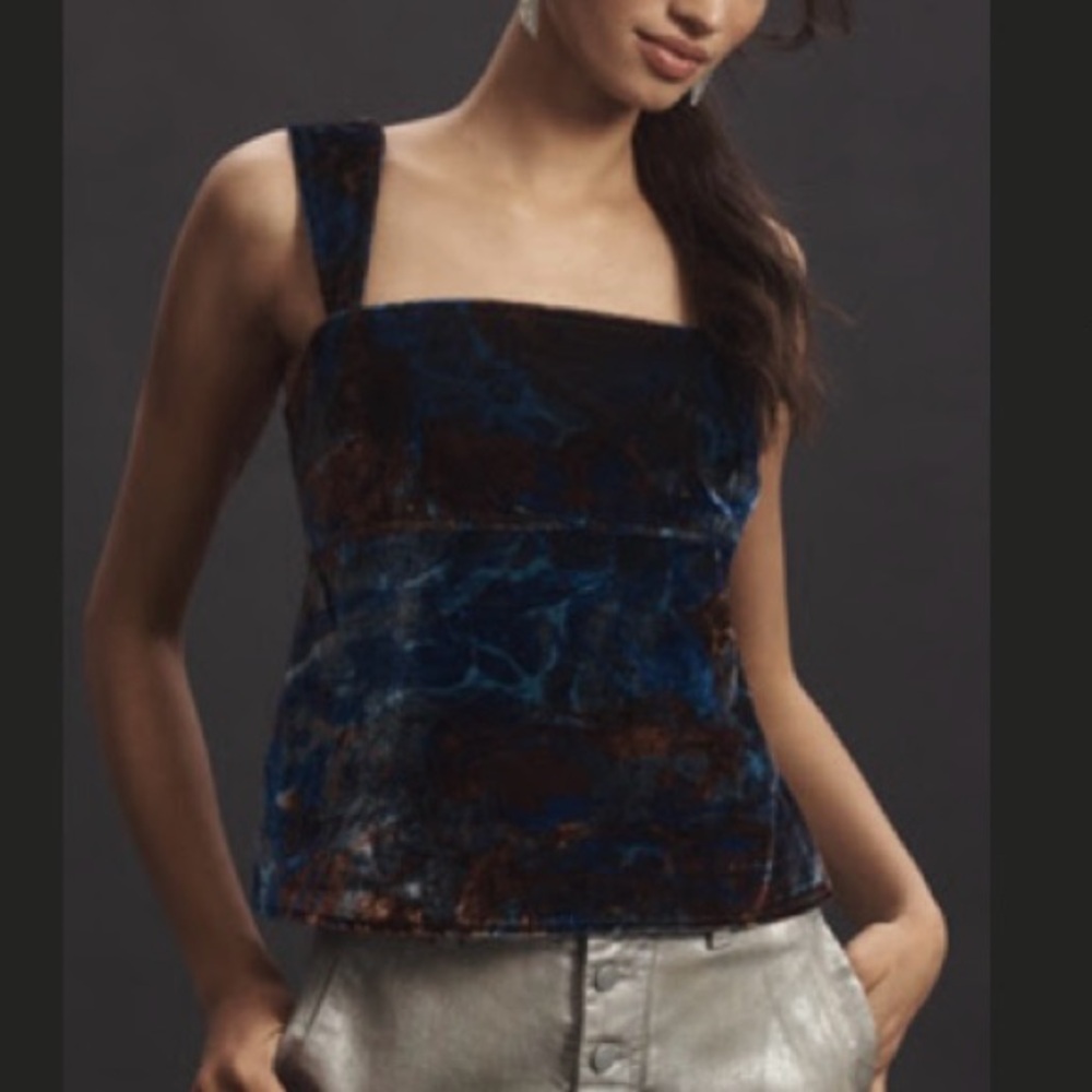 NWT Anthropologie Pilcro Velvet Flyaway Top - Blue Pattern